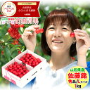 【6月中旬から順次出荷予定/日時指定可】…