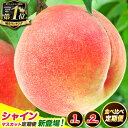 4年連続総合1位獲得! 高レビュー続出 食べ…
