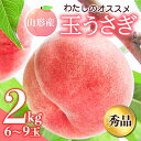 ～わたしのオススメ～山形県産もも2kg「玉…