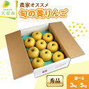 農家 オススメ 旬 の 黄 りんご 選べる 3k…