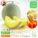 956.青肉メロンディーバと赤肉メロンプリ…