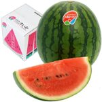 山下屋荘介 松本ハイランド すいか [ 2Lサ…