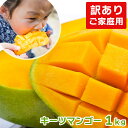 楽天ランキング1位獲得！【訳ありキーツマ…