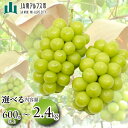 <2026年発送>★TBSテレビ系列「ひるおび…