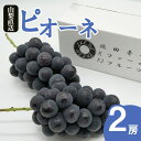厳選!! 池田青果のピオーネ 1.0kg 2房(沖…