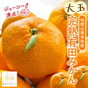 迫力満点 大粒 有田みかん 4～10kg［］［…