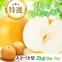 梨 【2026年9月中旬から順次発送】 特選 …