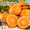 田村みかん 約 5kg S 〜 Lサイズ おまかせ…