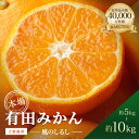 ★2026年★ 訳あり 有田みかん「風のしるし…