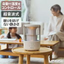 お手入れ簡単 プールレス加湿器 MIST250(…