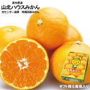 ・高知産山北ハウスミカンMサイズ25個入り…