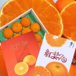 毎年入手困難の高級贈答品,本物の紅まどん…