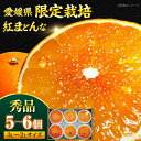 【11月下旬から順次発送】紅まどんな 秀品…