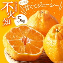 【3月上旬から順次発送】不知火 5kg | し…