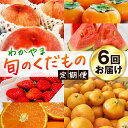 わかやま旬のくだもの定期便 全6回【S】【…