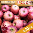 【2026年発送】高評価★4.26 訳あり サンふ…