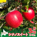 北海道壮瞥町産りんご「シナノスイート」…
