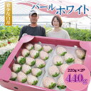 令和9年1月中旬頃出荷開始 白 いちご パー…