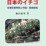日本のイチゴ