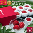 ［先行受付］希少！国産＜新富ライチ＞40g…